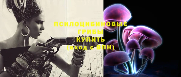 дмт Армянск