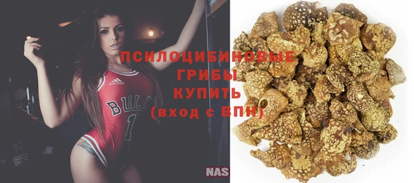 ECSTASY Липки