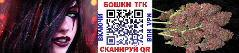 Конопля план  Сланцы 